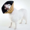 All Four Paws Collare Medico per Cani Comfy Cone Taglia M 20 cm Tanno