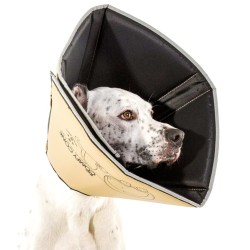 All Four Paws Collare Medico per Cani Comfy Cone Taglia M 20 cm Tanno