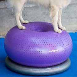 FitPAWS Supporto Anello di Addestramento 63 cm Grigio