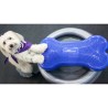 FitPAWS Supporto Anello di Addestramento 63 cm Grigio