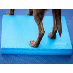 FitPAWS Pad per l'Allenamento dell'Equilibrio per Cani 38x46x5 cm Blu