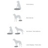 FitPAWS Pad per l'Allenamento dell'Equilibrio per Cani 38x46x5 cm Blu