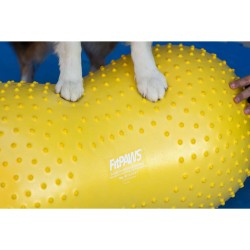 FitPAWS Piattaforma di Equillibrio per Animali Trax Peanut 40cm Gialla