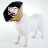 All Four Paws Collare Medico per Cani Comfy Cone Taglia L 25 cm Tanno