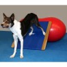 FitPAWS Tavola per l'Equilibrio Gigante 75x75 cm Blu