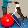 FitPAWS Tavola per l'Equilibrio Gigante 75x75 cm Blu