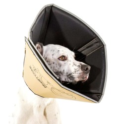 All Four Paws Collare Medico per Cani Comfy Cone Taglia XS 11 cm Tanno