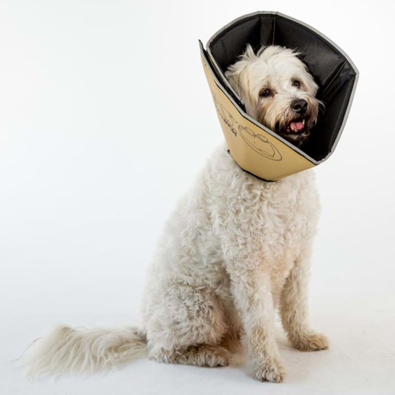 All Four Paws Collare Medico per Cani Comfy Cone Taglia XL 30 cm Tanno