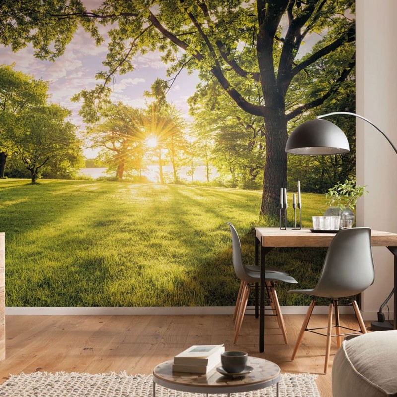 Komar Foto Murale Golden Moment 400x250 cm