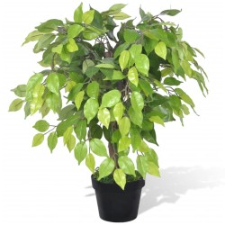 Ficus Nano Artificiale con...