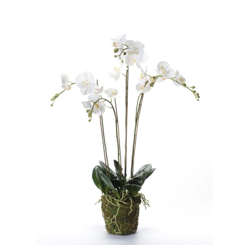 Emerald Orchidea Artificiale con Muschio Bianca 90 cm 20.355