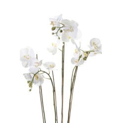 Emerald Orchidea Artificiale con Muschio Bianca 90 cm 20.355