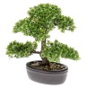 Emerald Ficus Artificiale Mini Bonsai Verde 32 cm 420002