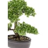 Emerald Ficus Artificiale Mini Bonsai Verde 32 cm 420002