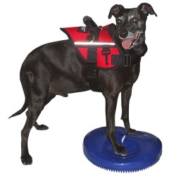 FitPAWS Disco per l'Allenamento dell'Equilibrio per Cani 36 cm Blu