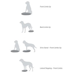 FitPAWS Disco per l'Allenamento dell'Equilibrio per Cani 36 cm Blu