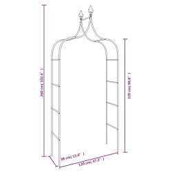 vidaXL Archi da Giardino 2 pz Neri 120x38x260 cm Acciaio