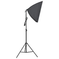 vidaXL Luce Professionale da Studio 60x40 cm 