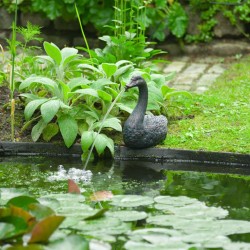 Ubbink Fontana da Giardino Spitter Galleggiante Cigno