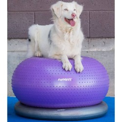 FitPAWS Palla di Equillibrio per Animali TRAX Donut 55 cm Viola