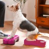 FitPAWS Piattaforme Equilibrio Animali Mini K9FITbone 2 pz 29x16,5x6cm