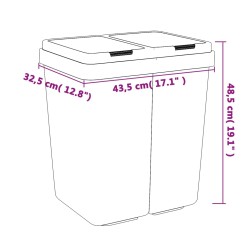 vidaXL Cestino Doppio Antracite 2x25 L