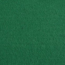    Tappeto Piatto da Esposizione 1x24 m Verde