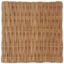 vidaXL Tavolino da Caffè 47x47x28 cm in Rattan Naturale