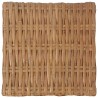 vidaXL Tavolino da Caffè 47x47x28 cm in Rattan Naturale