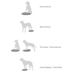 FitPAWS Disco per l'Allenamento dell'Equilibrio per Cani 56 cm Lampone