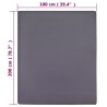 vidaXL Lenzuola con Angoli Jersey 2 pz Antracite 100x200 cm Cotone