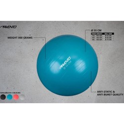 Avento Palla per Fitness/Palestra Diametro 55 cm Blu