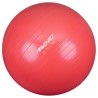 Avento Palla per Fitness/Palestra Diametro 75 cm Rosa