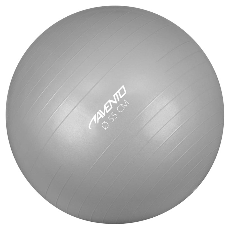 Avento Palla per Fitness/Palestra Diametro 55 cm Argento