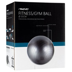 Avento Palla per Fitness/Palestra Diametro 55 cm Argento